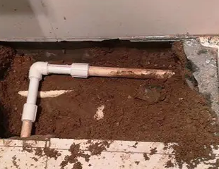 牟平测漏水哪家好