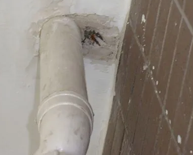 牟平漏水检测哪家好